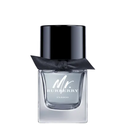 Perfume Mr. Burberry Indigo Masculino 50ml | R$ 173