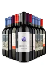 Kit 12 Vinhos Tintos - Mais Vendidos  (Primeira compra) - Vinho Fácil - Grupo Wine