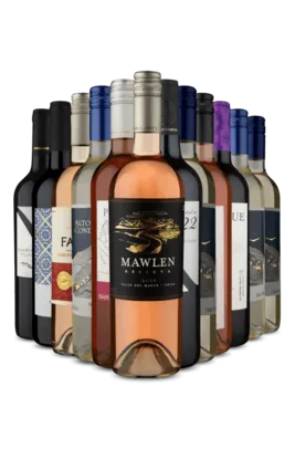 Kit 12 - Mix Brancos, Tintos e Rosés (12 Vinhos)