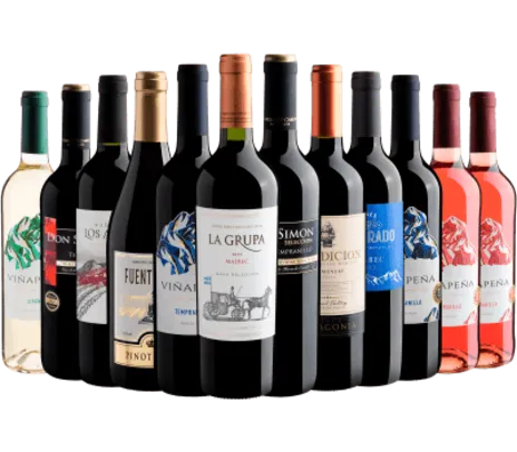 Kit 12 Vinhos por R$17,52 cada garrafa