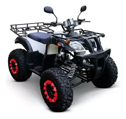 Quadriciclo Adventurepro Com Tanque De 4l Gasolina Gl