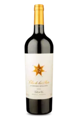 [Sócio - 3 uni | R$73,43 cada] Vinho Tinto Clos de Los Siete By Michel Rolland 2020
