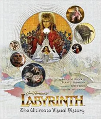 Livro Labyrinth Capa Dura - R$195