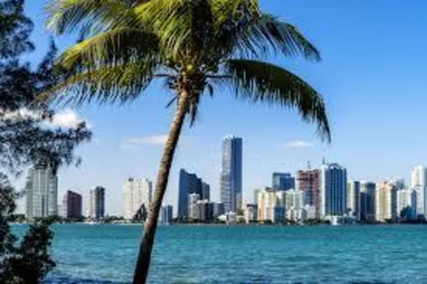 Voos: Miami, a partir de R$1.418, ida de volta, com taxas incluídas. Saídas de Manaus!