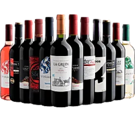 Kit com 12 garrafas de Vinho