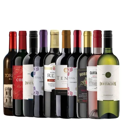 Kit Vinhos 10 Garrafas Seleção Especial