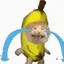 imagem de perfil do usuário bananacat
