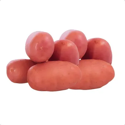 Só Batata Asterix Especial Para Fritura Pure Nhoque 5kg