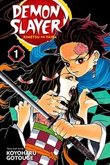 eBook Demon Slayer: Kimetsu no Yaiba, Vol. 1: Cruelty (English Edition)