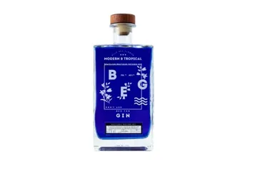 BEG Modern & Tropical Gin 750ml