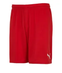 [app] Calção Puma Liga Core P, M e G | R$28