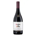 Vinho tinto seco Pinot noir Casillero del Diablo Reserva 2018 adega Concha y Toro 750 ml