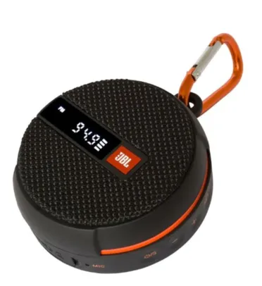 Caixa de Som JBL Wind 2