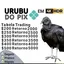 Urubu_Do_Pix