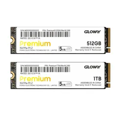 Ssd M2 Nvme Gloway 1Tb PREMIUM 