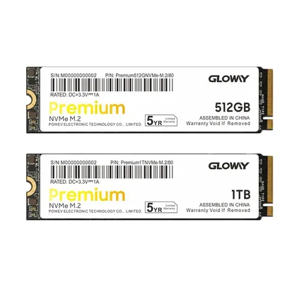 Ssd M2 Nvme Gloway 1Tb PREMIUM 