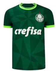 Camisa Do Palmeiras 2023/2024 Nova Torcedor