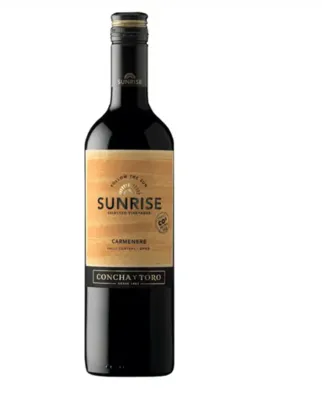 [LEV 6 PAG 3] Vinho Tinto Seco Concha y Toro Sunrise