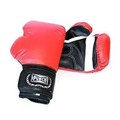 Luva De Boxe Home Punch R$ 65