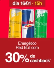 (SC AME 5,80) Red bull 250ml