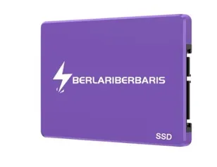  SSD  BERLARIBERBARIS 64GB