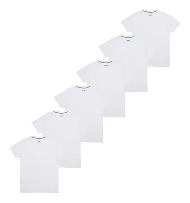 Kit Com 6 Camisetas X-temp Hanes 2535 Branco - R$57