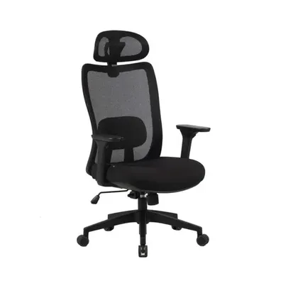 Cadeira Ergonômica Elements Astra Pro