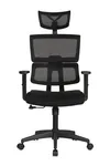 Imagem do produto Cadeira Para Escritório Presidente Ergonômica - ANM701P - Anima - Preto