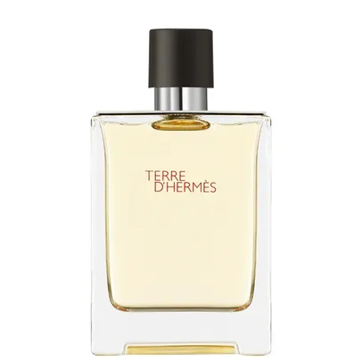 Perfume - Terre Hermès EDT 100ml