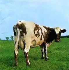 CD Pink Floyd - Atom Heart Mother - R$ 20