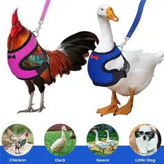 Ajustável Pet Harness Leash, Colete Confortável para Frango, Cachorro, Cães Pe