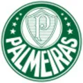 Logo Palmeiras Store