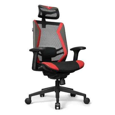 Cadeira Ergonômica DT3 Spider