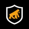 Logo Gorila Shield