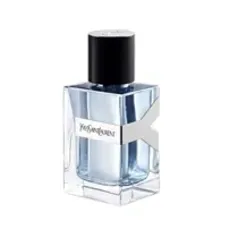 Y Yves Saint Laurent Perfume Masculino Eau de Toilette 100ml