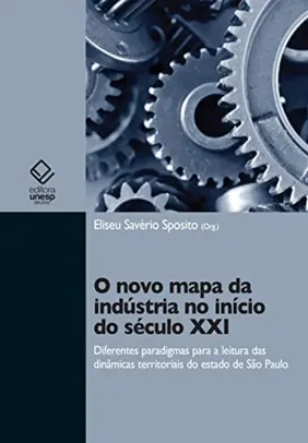 [Ebook] O novo mapa da indústria no início do século XXI: diferentes paradigmas para leitura das dinâmicas territoriais do Estado de São Paulo.