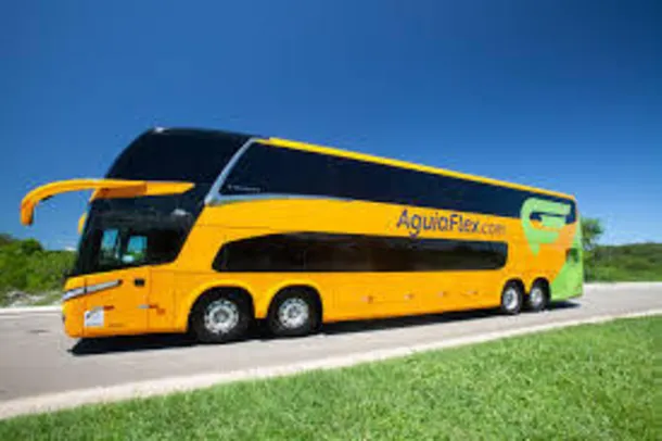 Flex Friday: 50% de desconto em viagens de ônibus