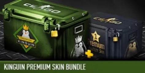 Skins Para Counter-Strike GO Na Promoção