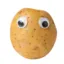 user profile picture Batata-Zoiuda