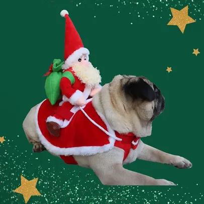 Fantasia seu cachorro como rena do Noel