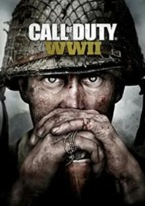 Call of Duty WW2 PC Steam Key - R$ 145
