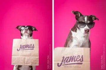 [1ª Compra] R$24 OFF em Compras acima de R$29 no James Delivery