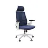 Imagem do produto Cadeira De Escritório Elements Helene Special, Branca e Azul