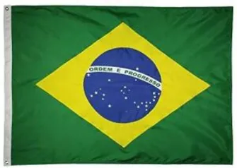 BANDEIRA DO BRASIL 2 PANOS