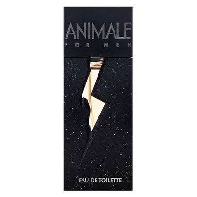 Perfume masculino Animale EDT 100ML | R$263