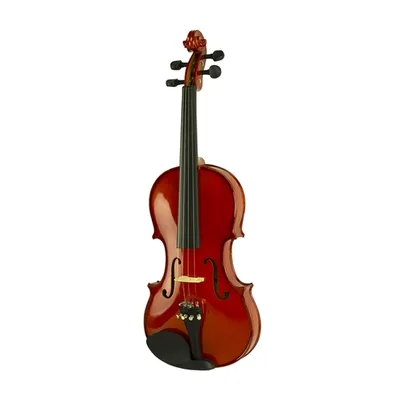 Violino Profissional 1/2 Vignoli VIG312-NA Com Case Arco E Breu | R$370