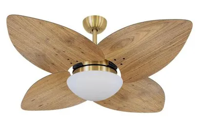 Foto do produto Ventilador De Teto Vd42 Dunamis Dourado Rádica Freijó 220V - Volare