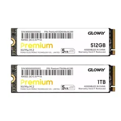 SSD Gloway Premium Series 512 GB com DRAM cache 512 MB M.2 NVMe 1.3 PCIe 3.0 x4