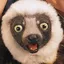 imagem de perfil do usuário Zoboomafoo