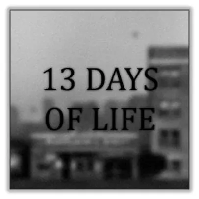 13 DAYS OF LIFE  Android Gratis